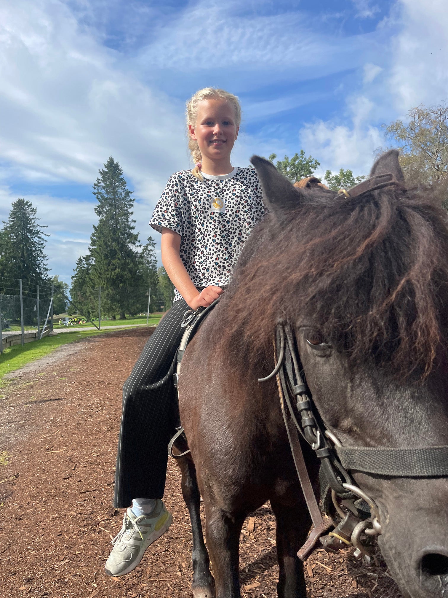 Jente som rir på en hest på EKT Rideskole i Oslo