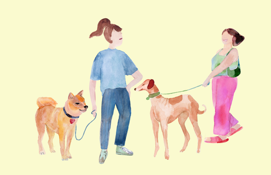 Lysløypas bydelsguide: Opplev Frogner i Oslo