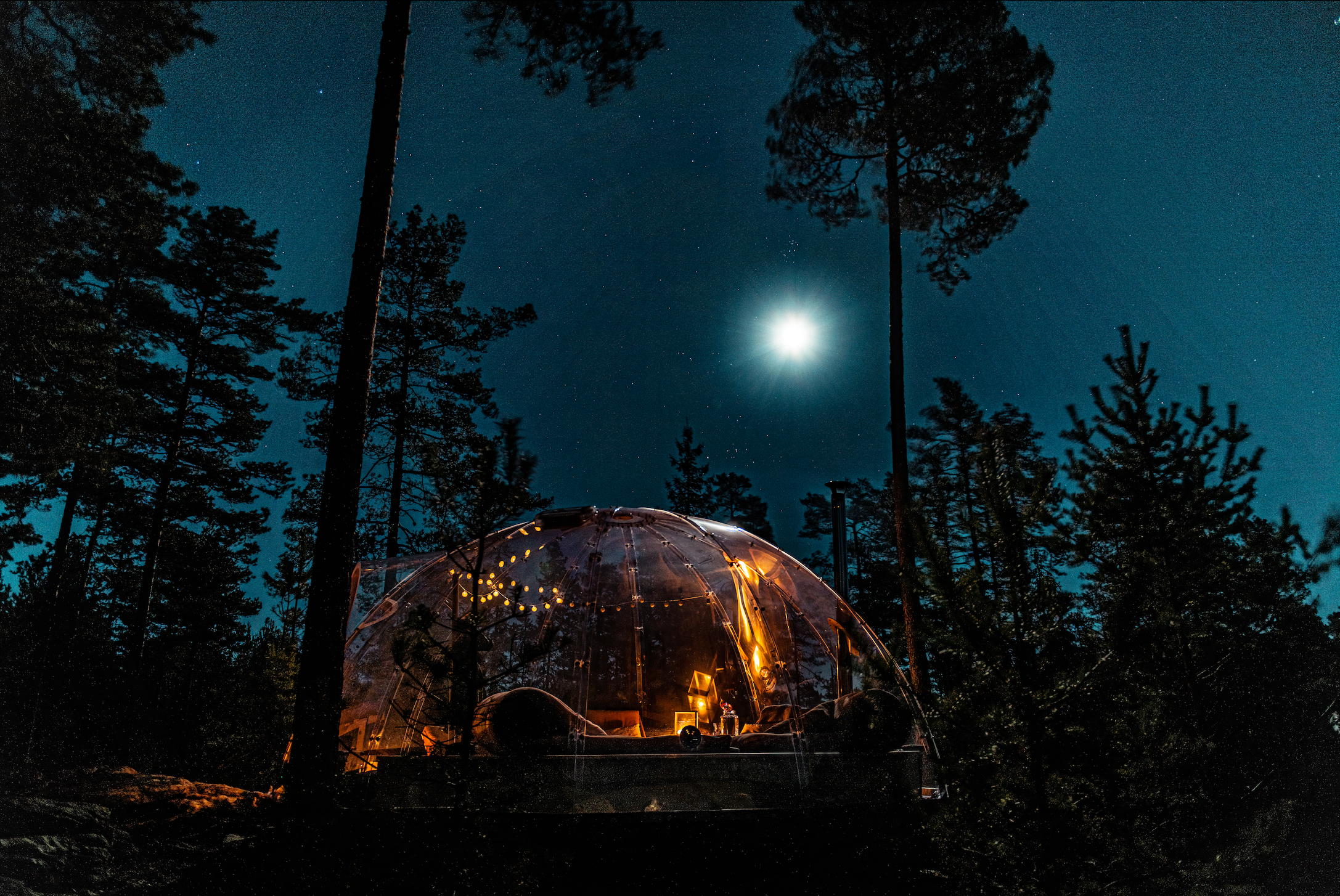 Glassiglo fra Hvilepust omringet av trær i måneskinn